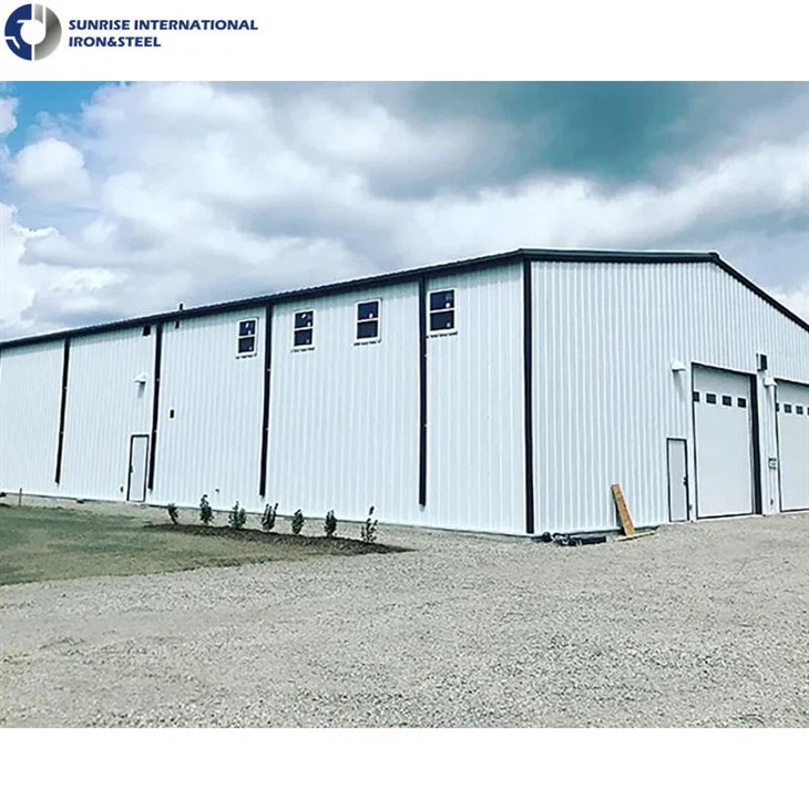 Steel Frame Structure Building